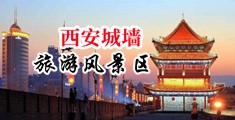 掰开日本妞的屄中国陕西-西安城墙旅游风景区