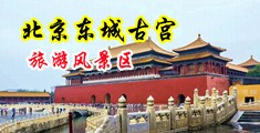 入逼入得舒服中国北京-东城古宫旅游风景区