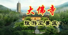 东北骚货大叫-百度中国浙江-新昌大佛寺旅游风景区