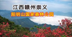 日一日,操一操,爽一爽日大B